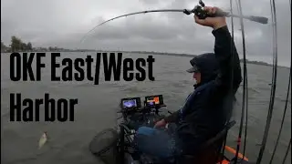 Every Fish Was The SAME SIZE?! (OKF Stop 2)
