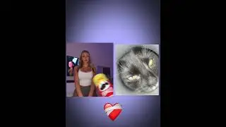 котикс #мем #жиза #юмор #котики