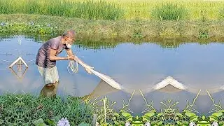 Traditional River Fishing - Amazing Fish Hunting with Cast Net in Village -  Best Cast Fishing Video