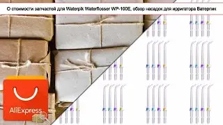 О стоимости запчастей для Waterpik Waterflosser WP-100E, обзор насадок для ирригатора Ватерпик