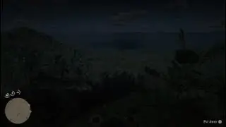 KaRed Dead Redemption 2 spider web easter egg newest clue???