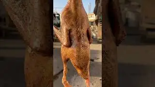 Naga Style Duck Curry Recipe 🦆🔥Cooking Naga style Duck Curry,simple ingredients intense flavors 🤌