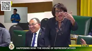 JLP MP Dalrymple-Philibert vs PNP MP Isat Buchanan Sitting of the House of Representatives