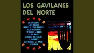 Corrido de Flavio Rodr&iacute;guez