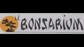COMMENT FORMER UN BONSAI?(&agrave; 10minutes)