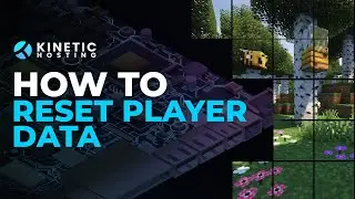 How to Reset a Players Data on a Minecraft Server