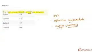 The high-energy bonds of ATP are between