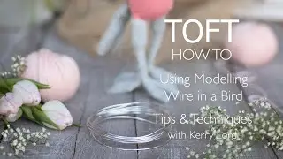 How to Add Modelling Wire to a Bird