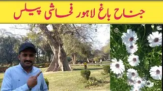 Jinnah bagh lahore | Quaid e azam library bagh e jinnah lahore| lawrence garden lahore| MAJID VLOGS