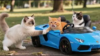 Злая кошка отобрала игрушечную машинку у рыжего котёнка, но мама-кошка и рыжий котёнок прощают его