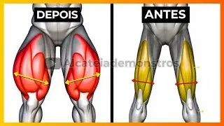 TREINO DE QUADR&Iacute;CEPS AVAN&Ccedil;ADO: 10 EXERC&Iacute;CIOS BRUTAIS PARA EXPLODIR SUAS COXAS NA ACADEMIA!