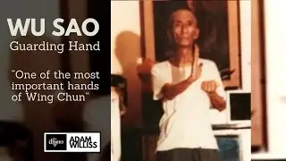 What is a Wu Sao? - Wing Chun Technique Lesson