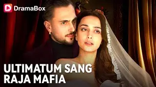 ❣️💥Aku Diberi Ultimatum Raja Mafia: Jatuh Cinta dalam 30 Hari atau Mati Bersamanya! | DramaBox