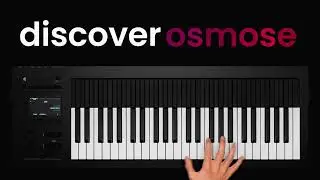 osmose next-gen standalone expressive synthesizer by expressive e
