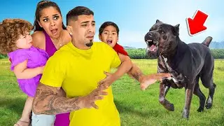 Our New Puppy Tried To Bite Us!