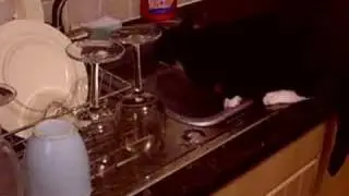 water fascination