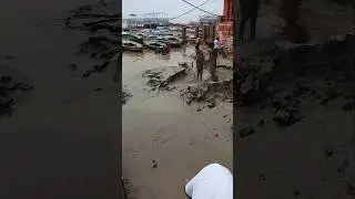 Dasaswamedh Ghat Flood Varanasi ! Banaras Ganga Ghat