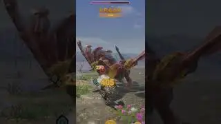 Finally found Coral Pukei #mhn #lance #pukeipukei