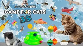 CAT GAMES - STRING STRING THING (FOR CATS ONLY) - COMPILATION OF THE LATEST GAMES VOL35