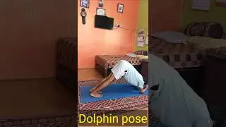 Three Yoga Pose | Doward and Upward Dog Poses | Dolphin Pose | #shivapokharel #shorts #ytshorts