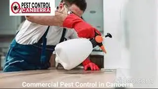 Commercial Pest Control Canberra | Commercial Pest Control in Canberra | Pest Control Canberra