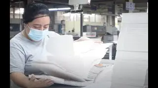 &iexcl;Somos Impresos M&uacute;ltiples! 📦 🏷
