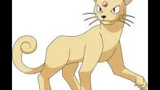 Pokemon Showdown Moveset # 1| Persian (NU)