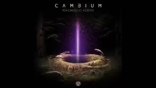 CAMBIUM & SPIRITUAL MODE - Psychedelic Vortex (Original Mix)