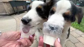 Summertime soft serve ice cream treats.