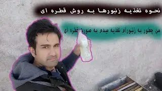 نحوه تغذیه زنبور ها به صورت قطره ای | آموزش زنبورداری فصل زمستان و نحوه تغذیه شربت به صورت قطره‌ای