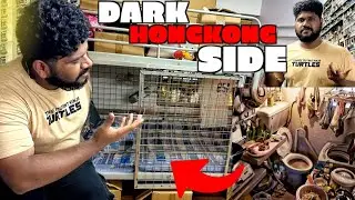 எப்படி தான் மக்கள் இங்க வாழ்றாங்களோ 🥲 | Dark Side of HongKong 🇭🇰 | Foodie Prabu |