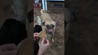 💕