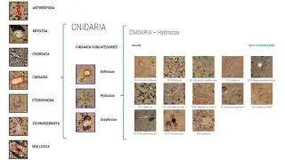 Kamila Mianowicz &ndash; Interoceanmetal Joint Organization