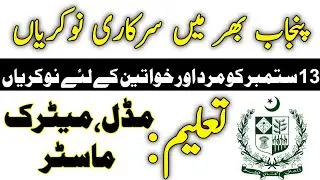 Latest Govt jobs in Punjab 2020 - Latest Jobs in Pakistan 2020 ( Apply Now Online )