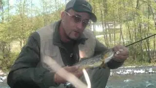 le trote del fiume chiese.wmv