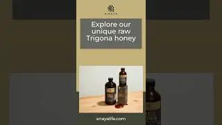 Explore our unique raw Trigona honey