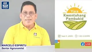 YKP32 Crop Nutrition in Onion