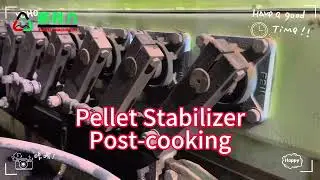 Aquatic Animal Fish Shrimp Chicken Pig Feed Pellet Stabilizer Stabilizing System Machine Equipment