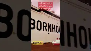#life #visitsrilanka #live #colombo #ship #world #love #sailor #real #bigships #binance #futurepath