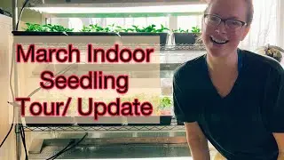 March Seedling Tour/ Updates | PNW Zone 8b