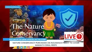 Here's how they are protecting Hawaii's coral reefs
