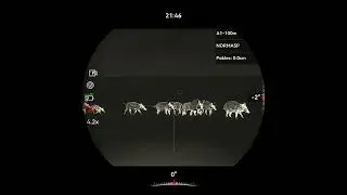 Lov dvou selat 🐗🌿 HIKMICRO STELLAR SH35L, 308.win GECO plus