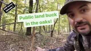 Indiana Public Land Deer Hunting (Bowhunting): Finding Bucks in the Oaks 60K Acres Episode 1