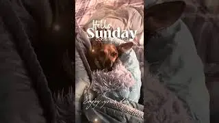 Hello Sunday, all the best to you and your family 🌺😍💕😊🙏