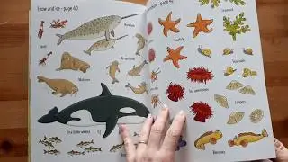 Big Sticker Book of Animals - Usborne