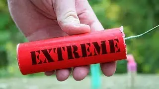 EXPERIMENT FIRECRACKER EXTREME vs SHOCK
