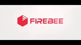 Firebee - Hist&oacute;ria da Empresa