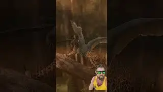 Indian Wildlife Is Incredible