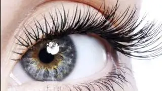 Magic Glance.Бархатные ресницы .