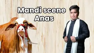 My friend cow setup visit 🤗❤️